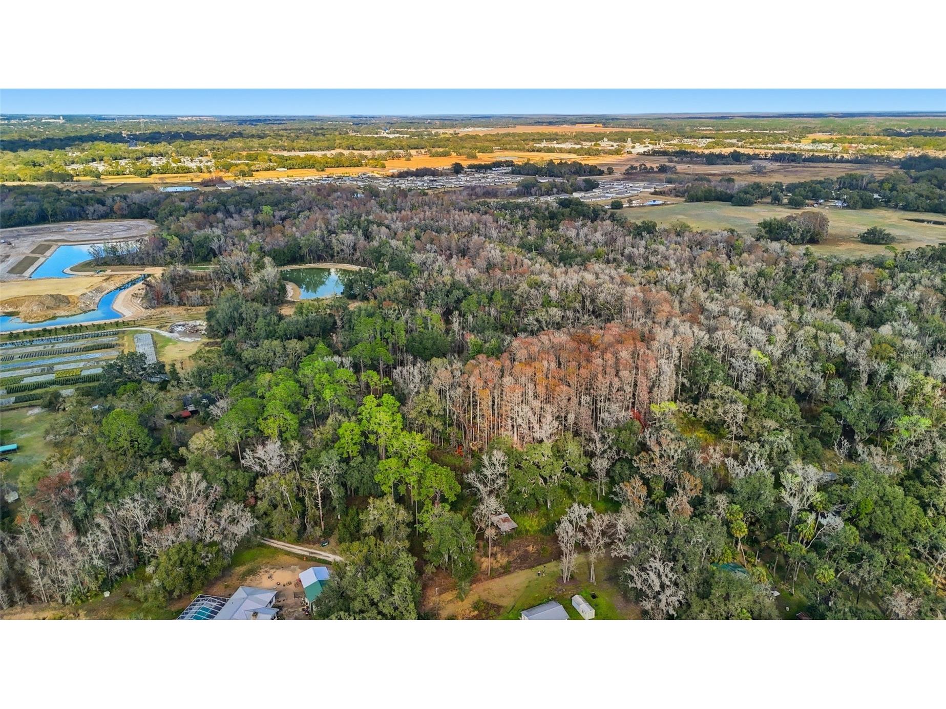 Higginson Road Zephyrhills FL 33540 TB8468267 image9