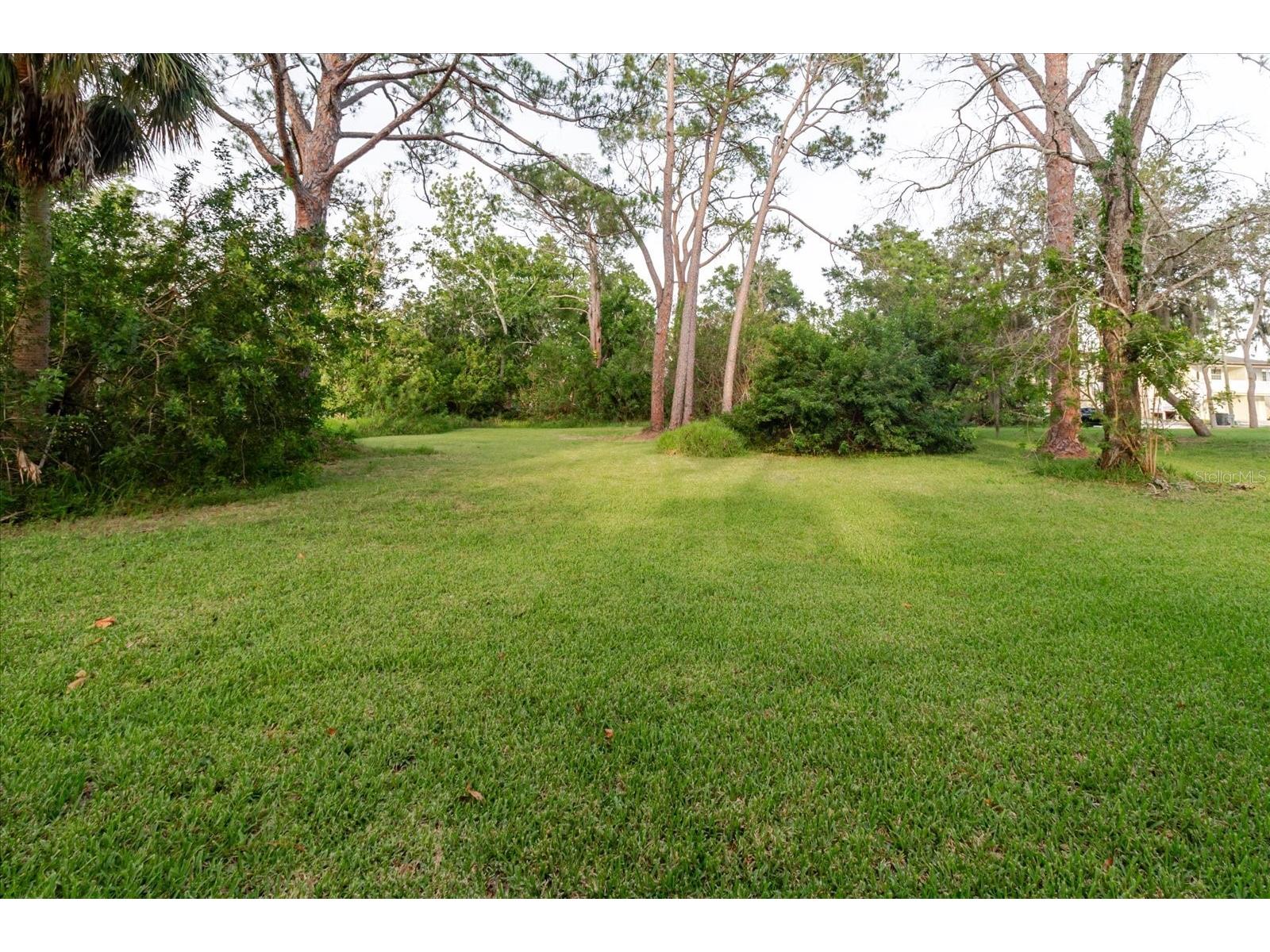 Highland Avenue Tarpon Springs FL 34689 TB8513994 image14