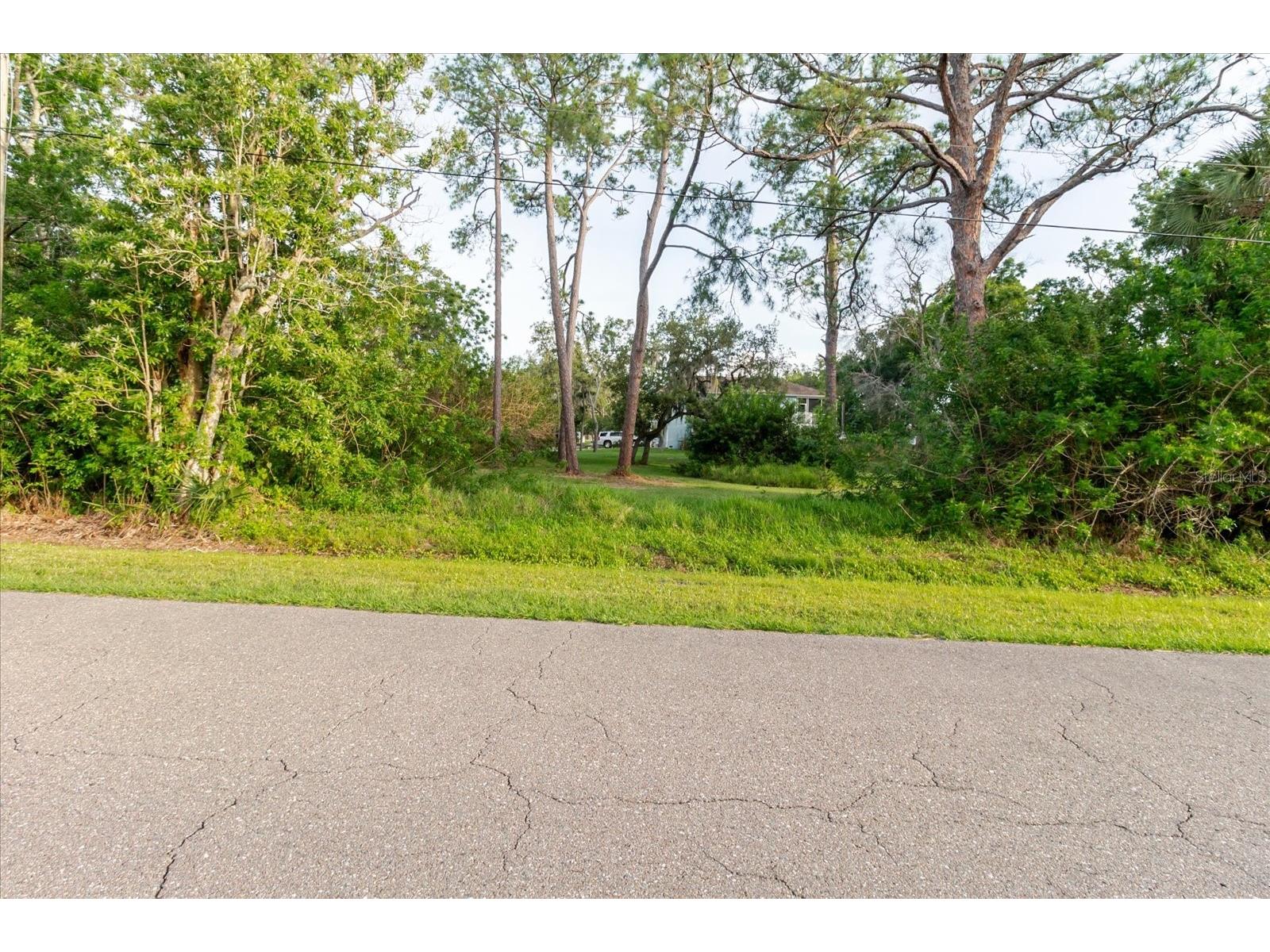 Highland Avenue Tarpon Springs FL 34689 TB8513994 image24
