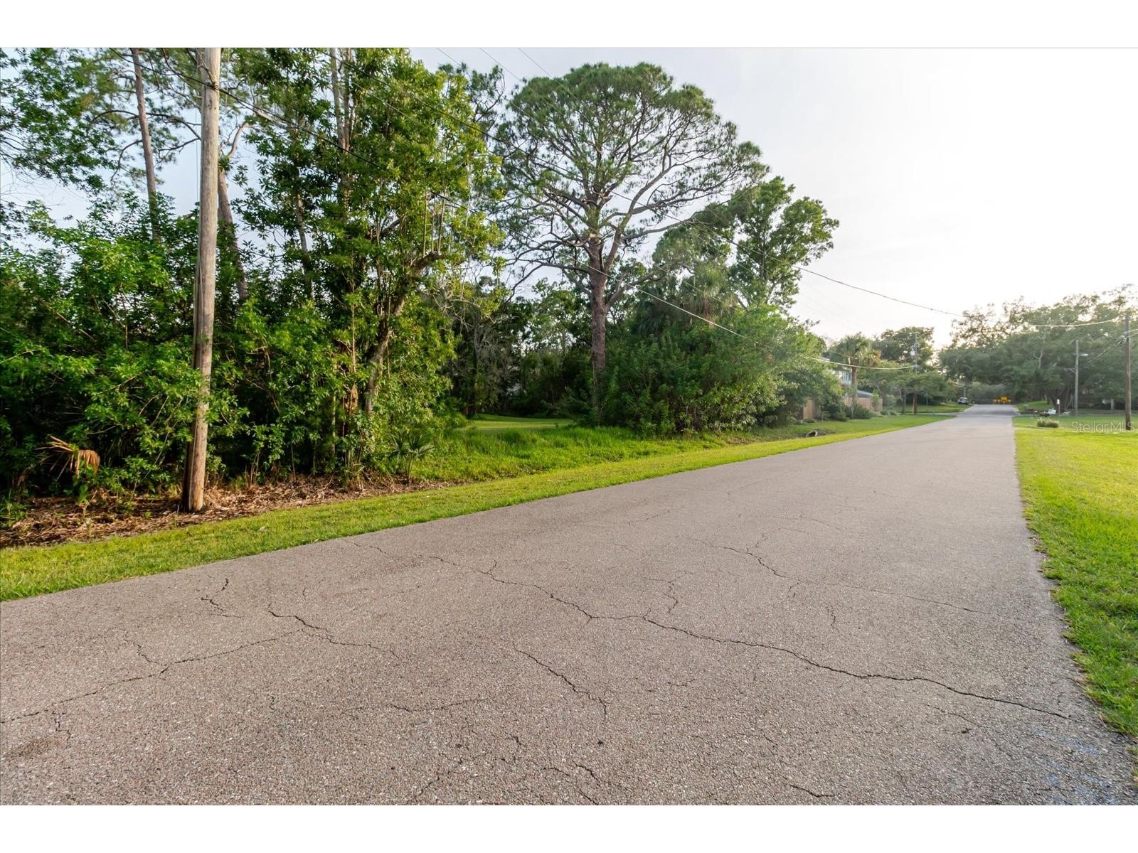 Highland Avenue Tarpon Springs FL 34689 TB8513994 image25