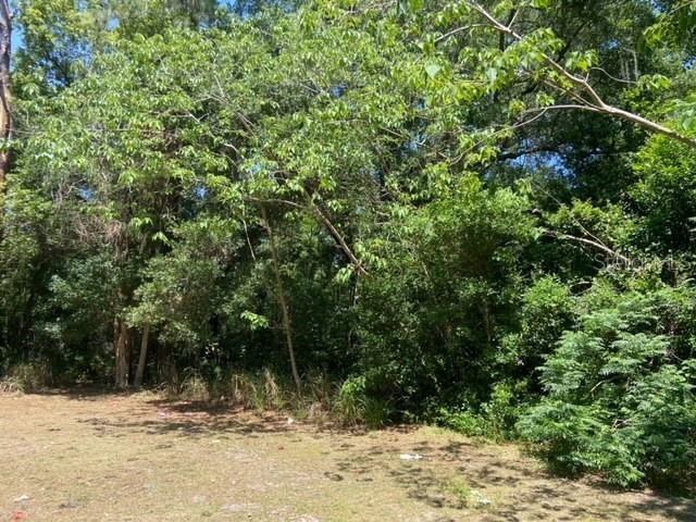 Highland Park Boulevard Mount Dora FL 32757 G5079590 image1