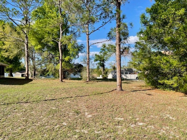 Highland Trail Lady Lake FL 32159 G5109631 image1