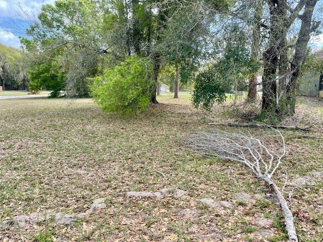 Highland Trail Lady Lake FL 32159 G5109631 image4