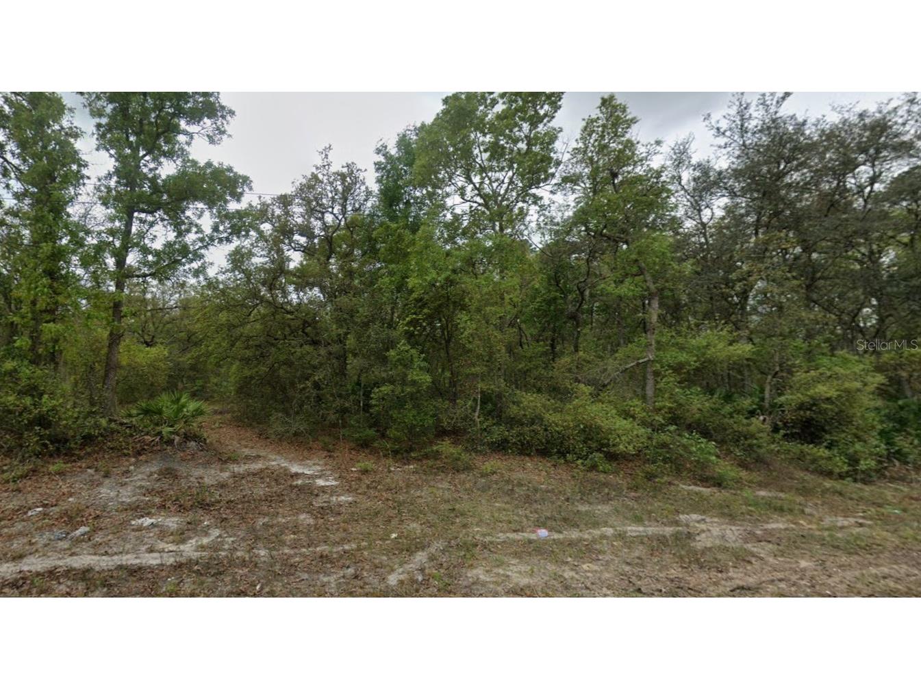 Highline Trail Satsuma FL 32189 O6358358 image1