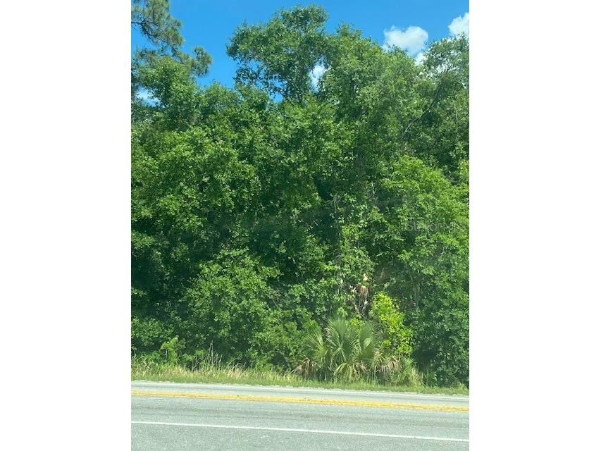 Highway 17 92 N Davenport FL 33837 O6387873 image4