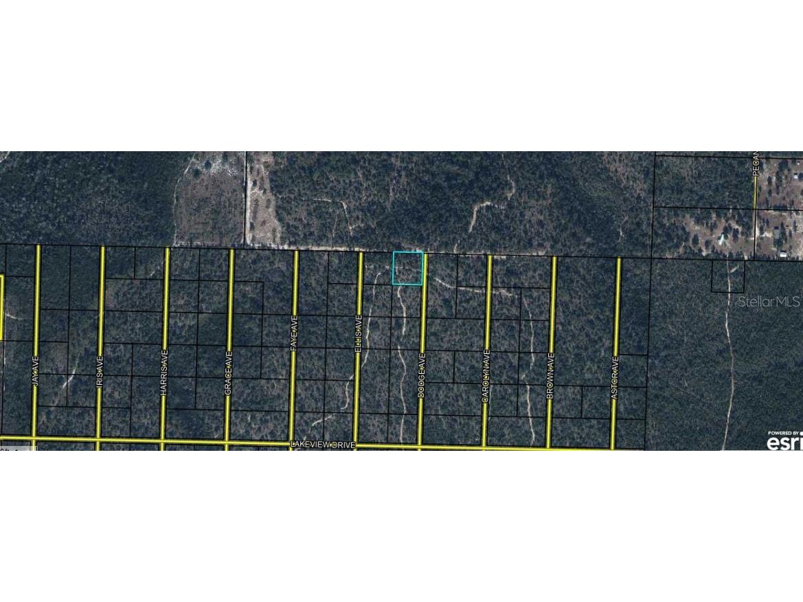 Highway 20 Youngstown FL 32466 O6372416 image1