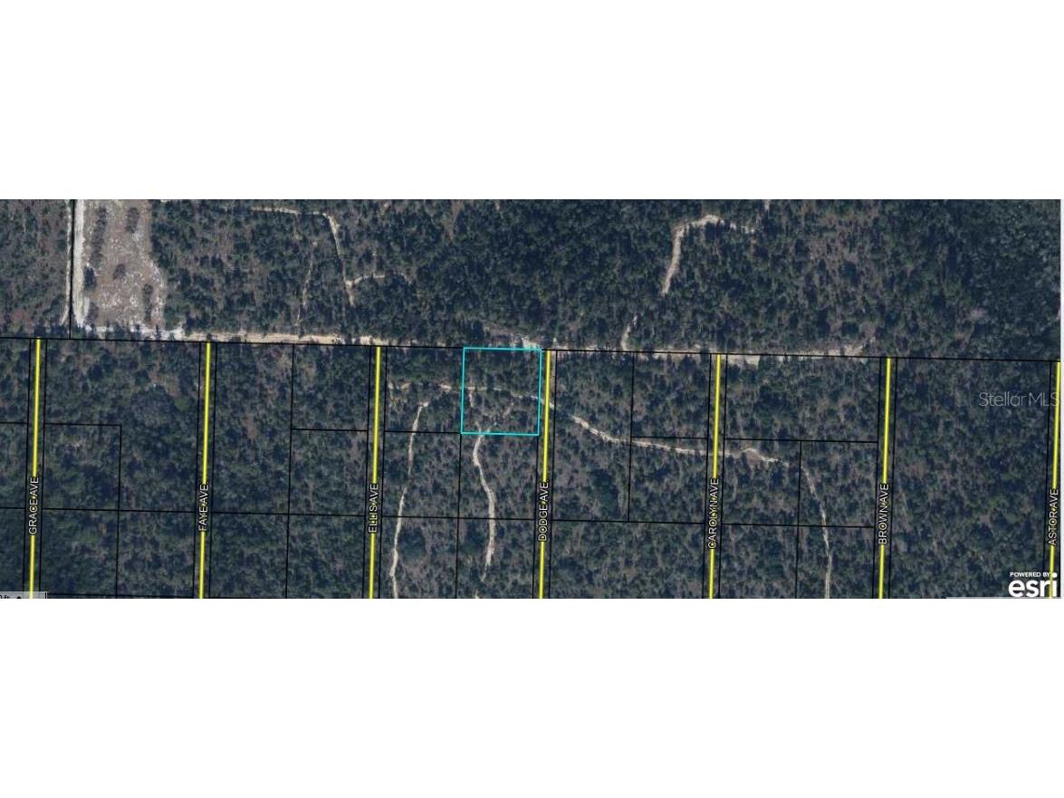 Highway 20 Youngstown FL 32466 O6372416 image4
