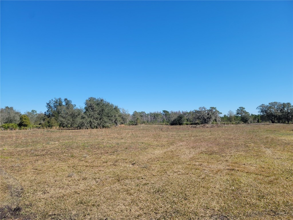 Hilda Ann Rd Zephyrhills FL 33540 OM653420 image1