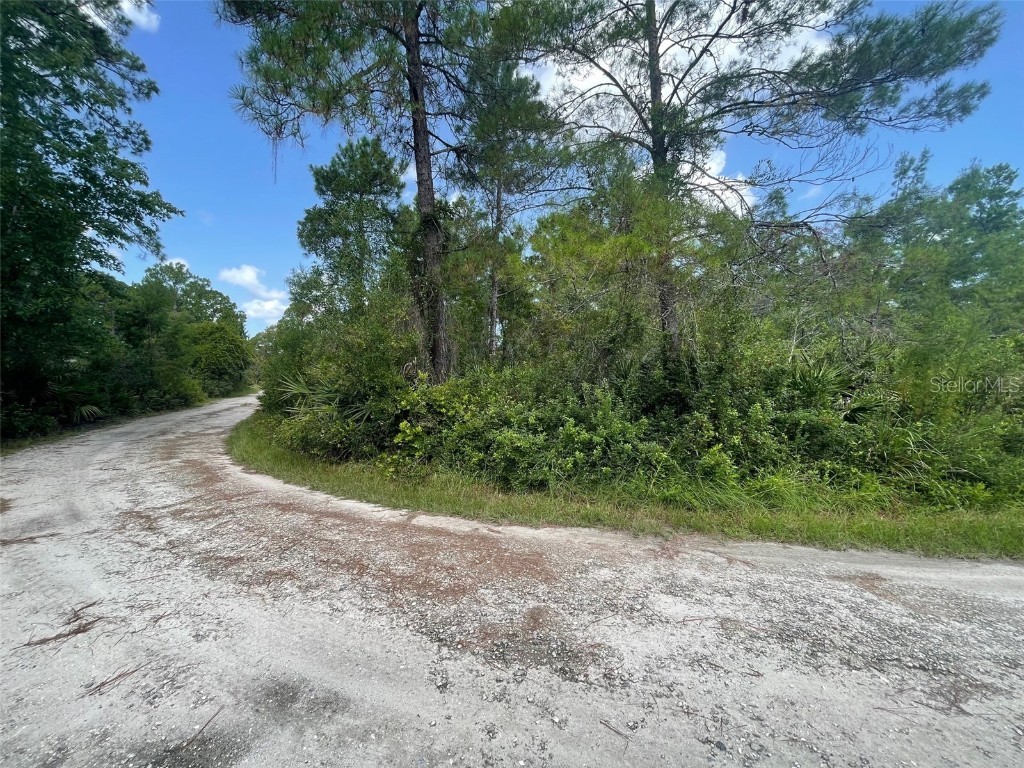 Hilda Avenue Paisley FL 32767 V4937552 image1