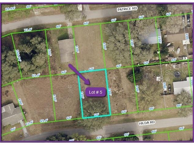 Hilda Road Dade City FL 33523 O6127357 image1