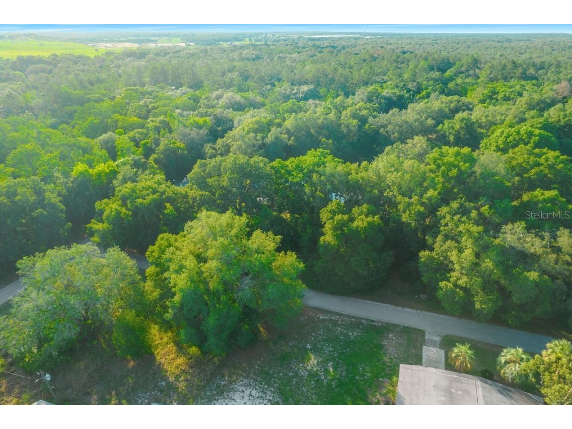 Hilda Road Dade City FL 33523 W7855110 image1