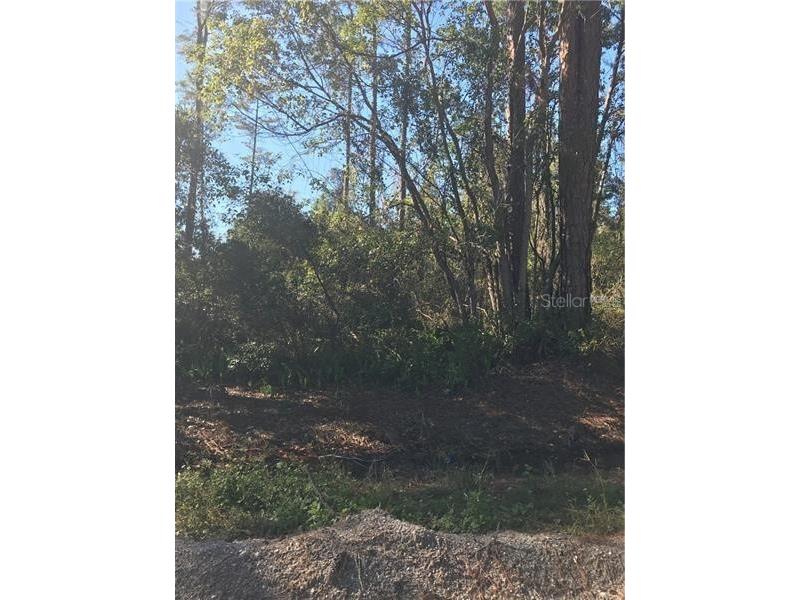 Hill Paper Avenue Deltona FL 32725 V4712920 image1