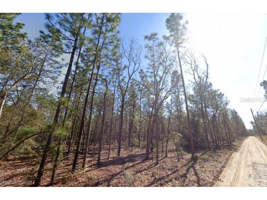 Hills Road Melrose FL 32666 A4695418 image1