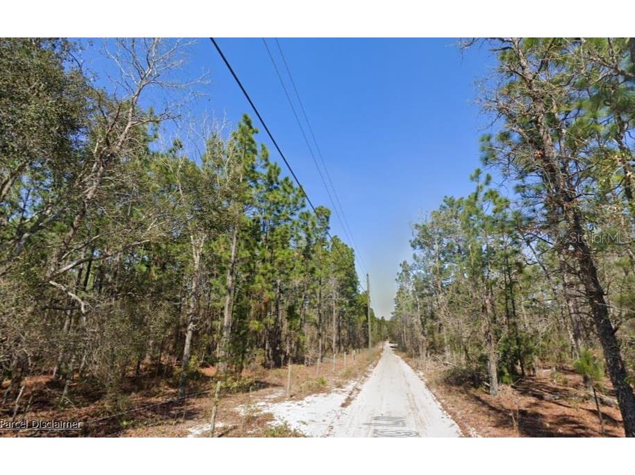 Hills Road Melrose FL 32666 A4695418 image3