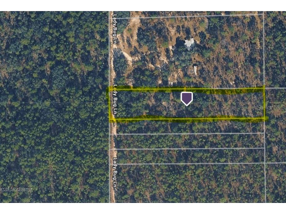 Hills Road Melrose FL 32666 A4695418 image4