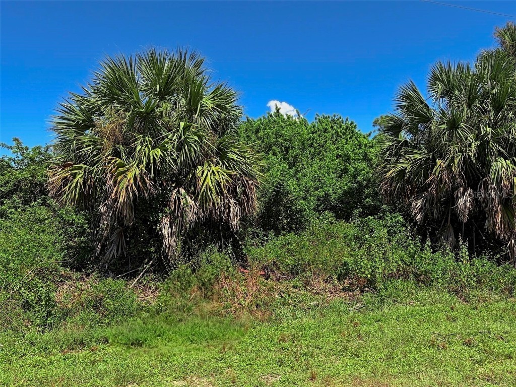 Hillsborough Boulevard North Port FL 34288 O6349786 image3