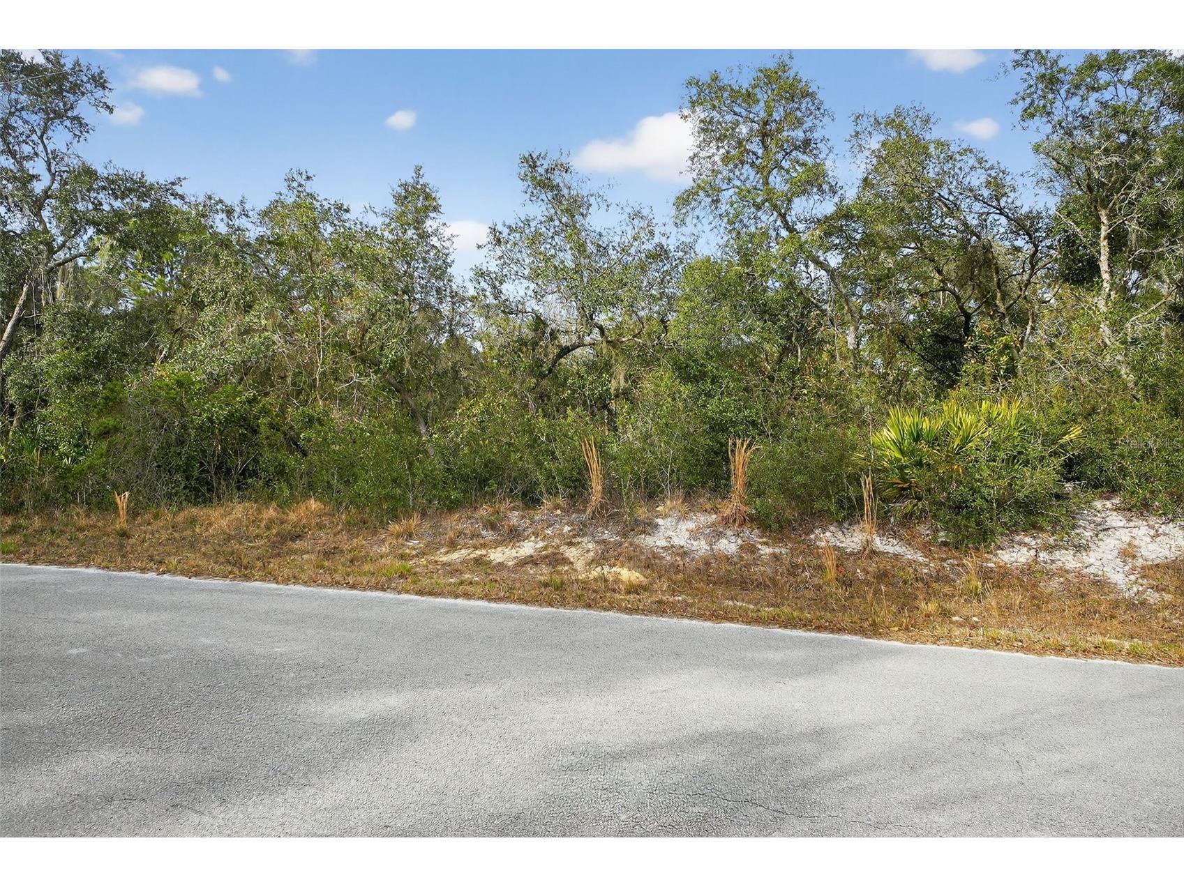 Hillside Drive Deland FL 32720 V4946916 image12