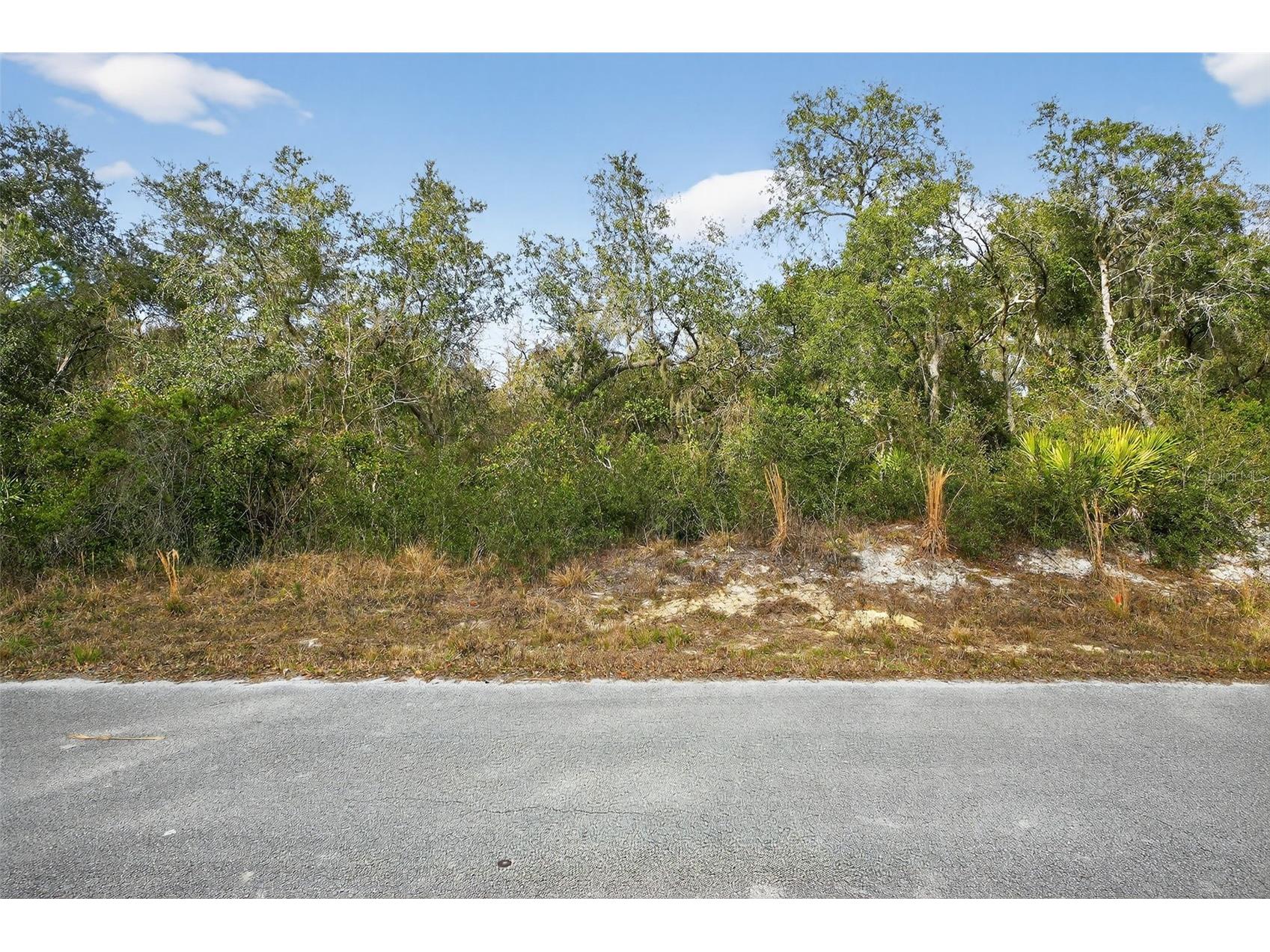 Hillside Drive Deland FL 32720 V4946916 image13