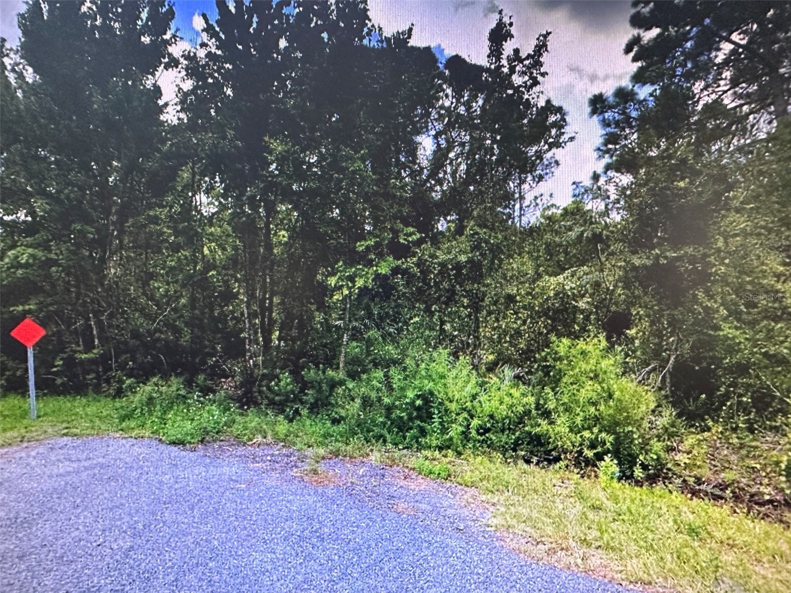 Hines Drive Okeechobee FL 34972 A4599884 image1