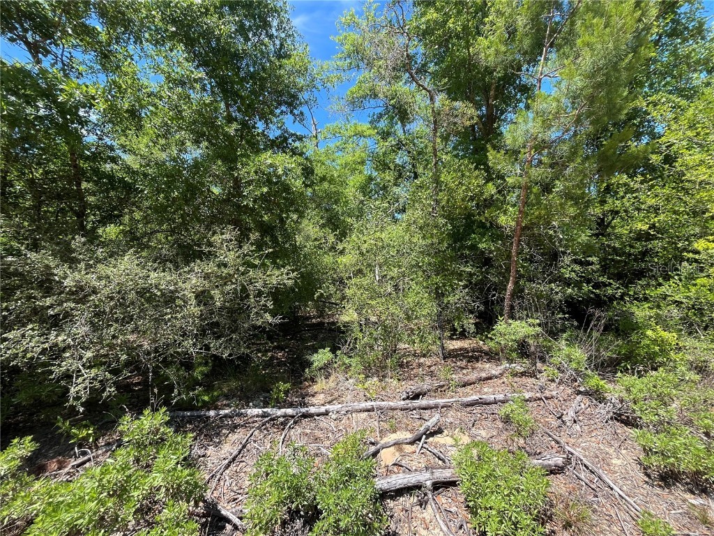 Hocking Street Alford FL 32420 OK224070 image4