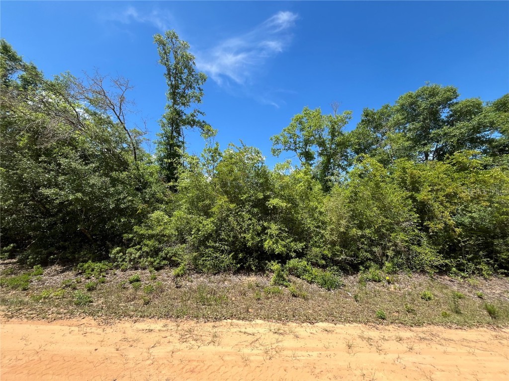 Hocking Street Alford FL 32420 OK224070 image5