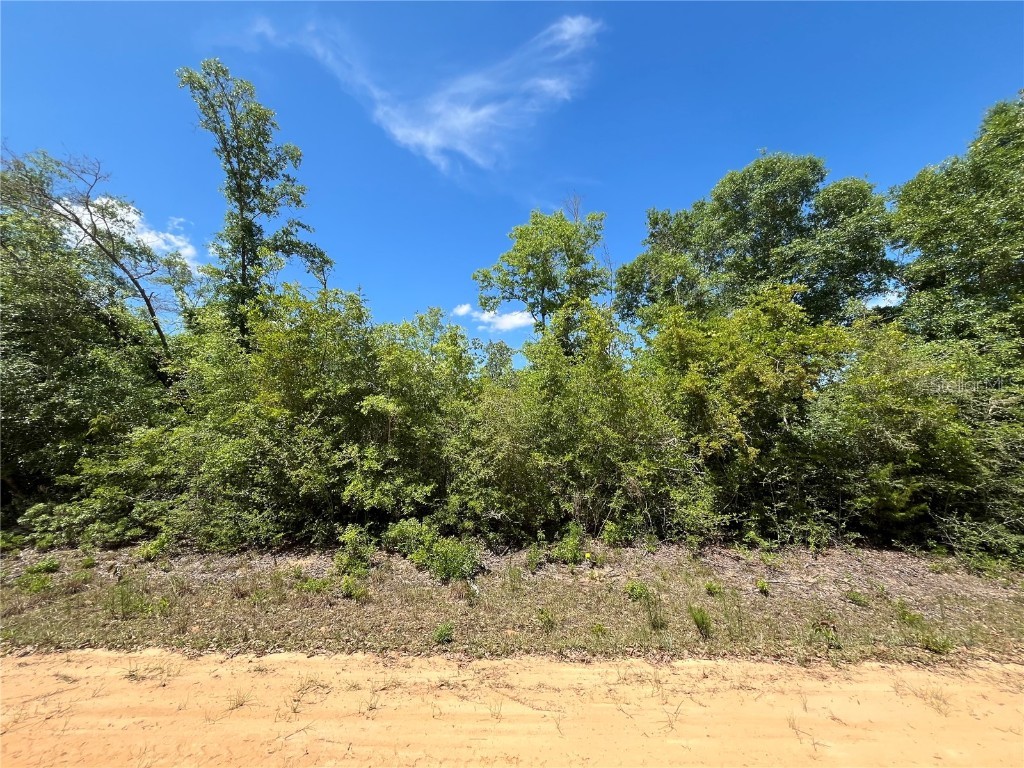 Hocking Street Alford FL 32420 OK224070 image7