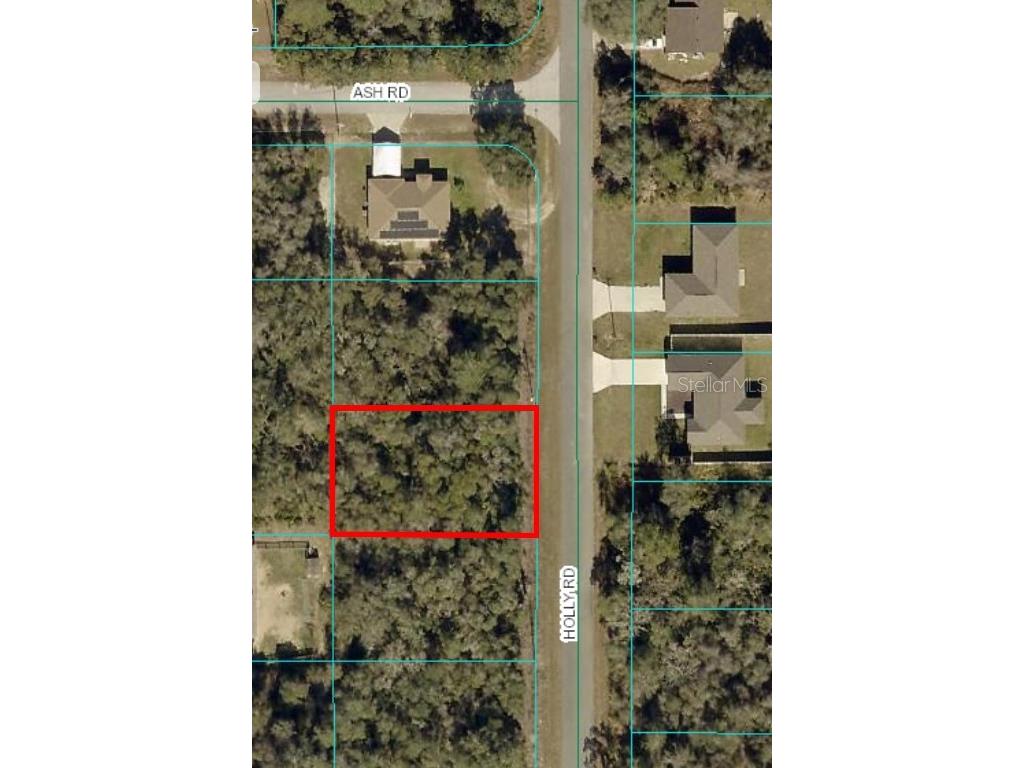 Holly Road Ocala FL 34472 OM688121 image1