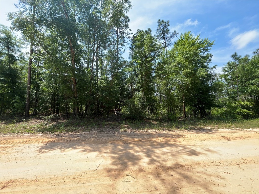 Holly Springs Avenue Alford FL 32420 OK225372 image10