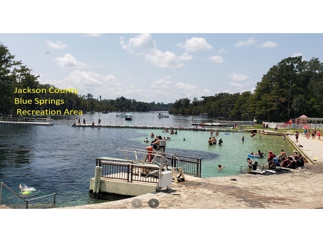 Holly Springs Avenue Alford FL 32420 OK225372 image16