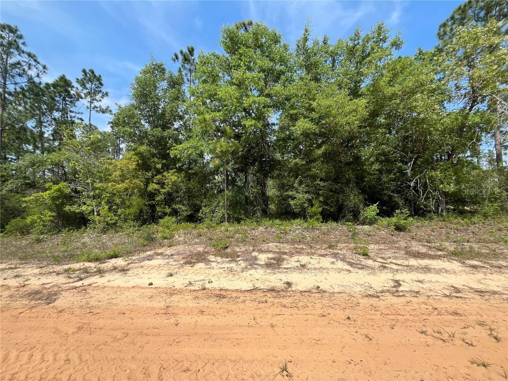 Holly Springs Avenue Alford FL 32420 OK225372 image5