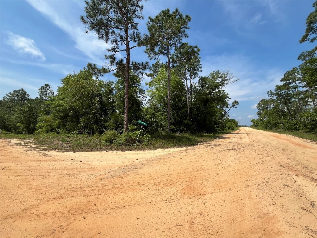 Holly Springs Avenue Alford FL 32420 OK225372 image6