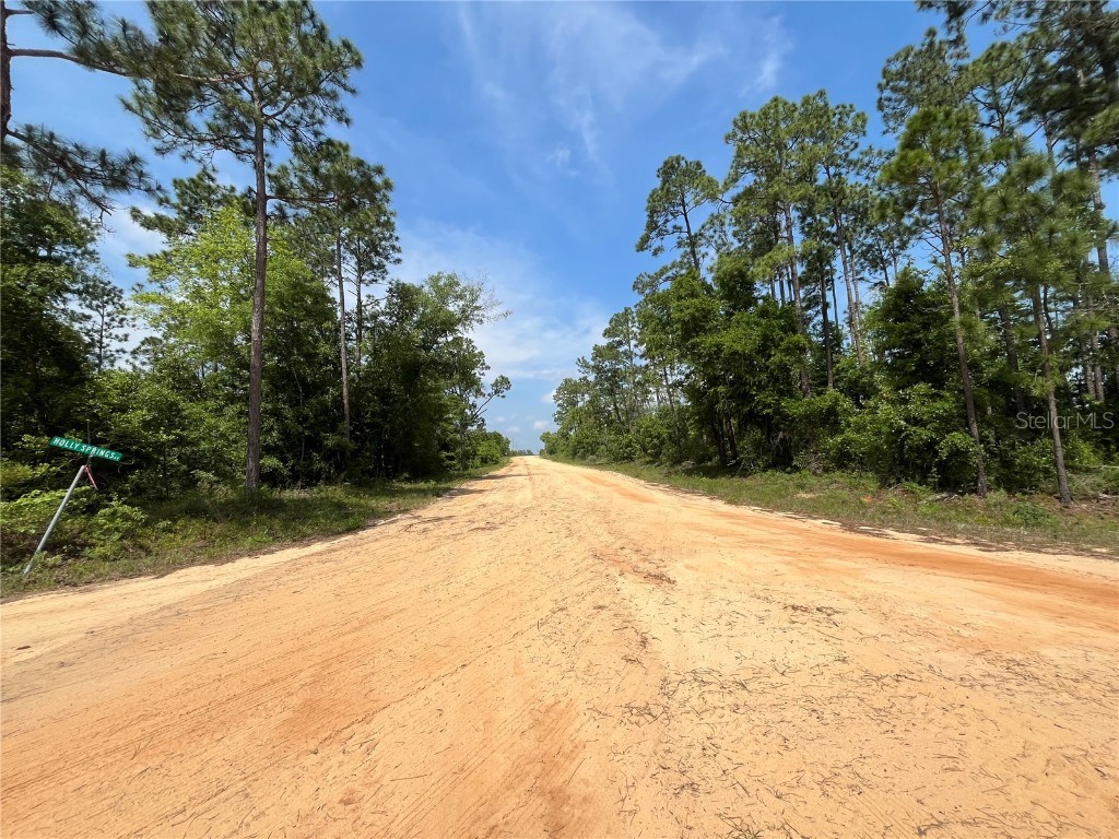 Holly Springs Avenue Alford FL 32420 OK225372 image7