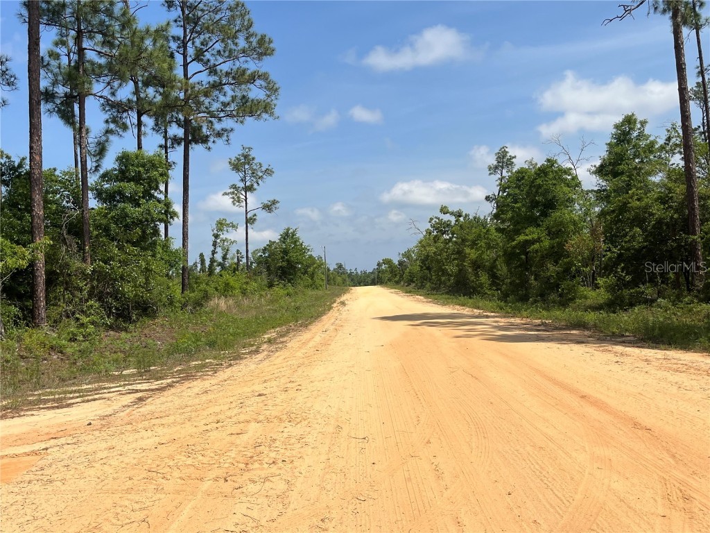 Holly Springs Avenue Alford FL 32420 OK225372 image8