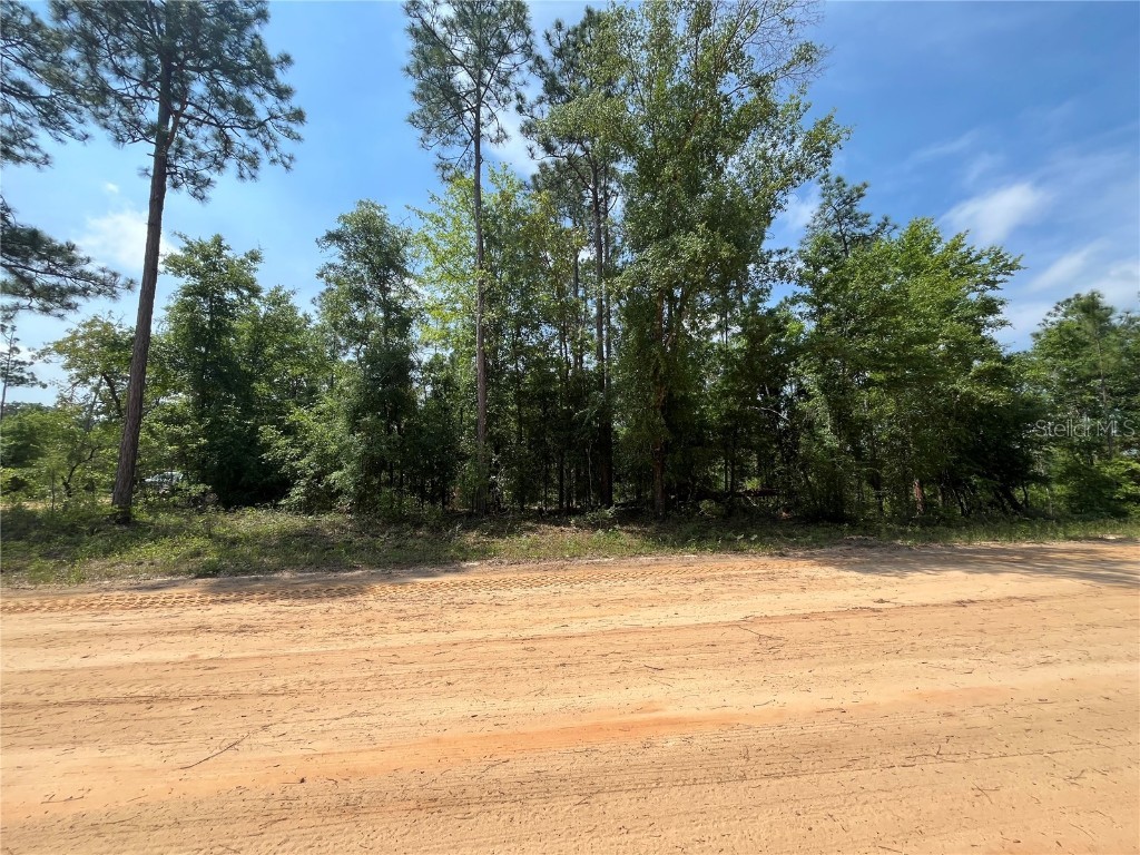 Holly Springs Avenue Alford FL 32420 OK225372 image9