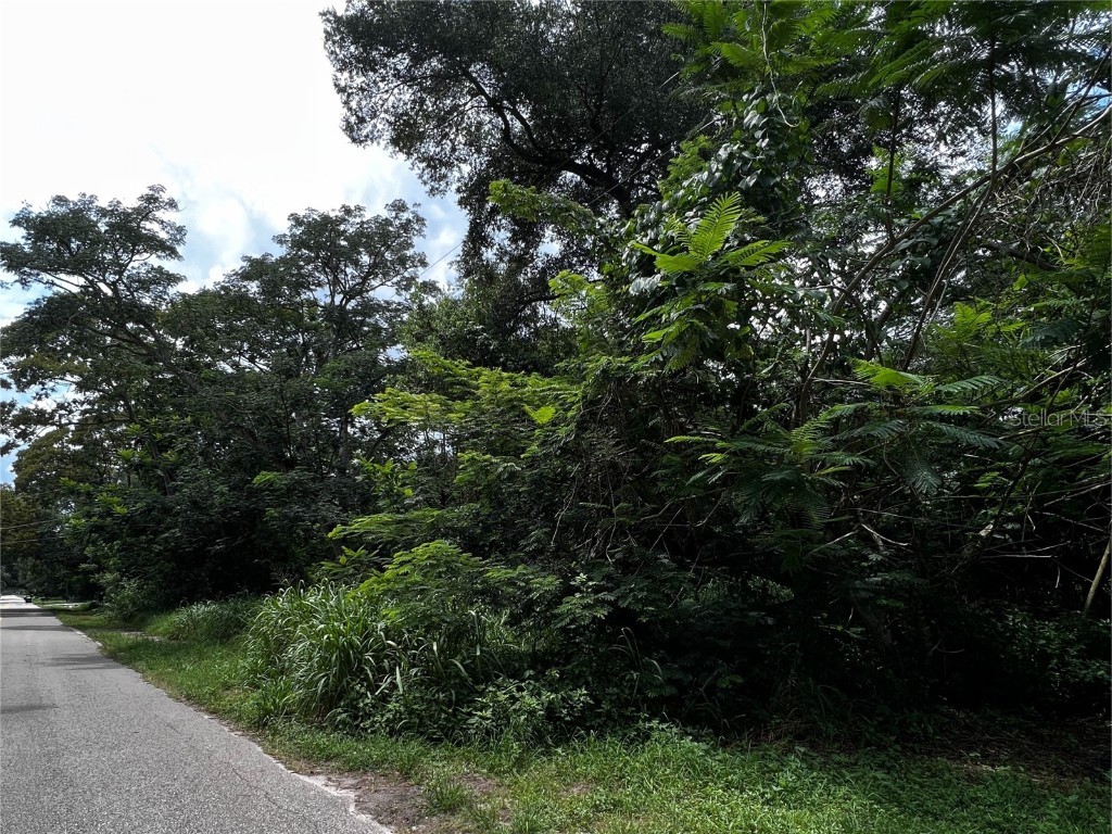 Holly Street Mount Dora FL 32757 O6131240 image1