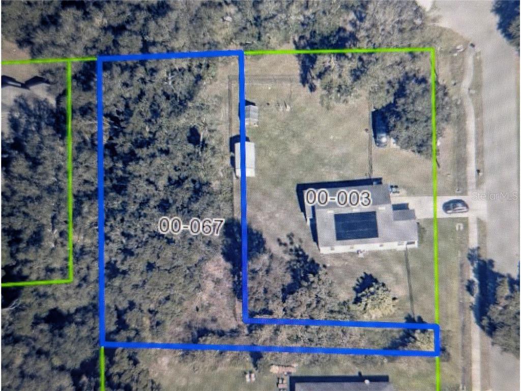 Holly Street Mount Dora FL 32757 O6352935 image4