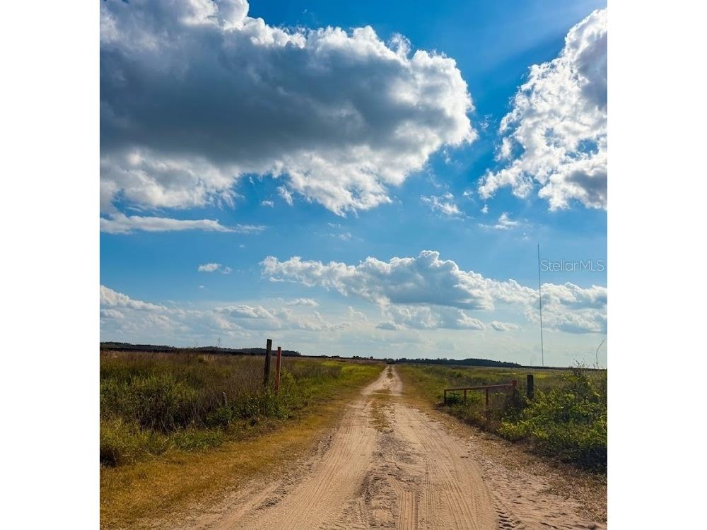 Holopaw Groves Road Lot 14 Saint Cloud FL 34771 S5150796 image5