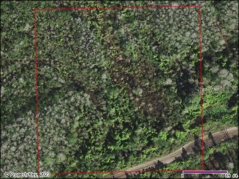 Holopaw Groves Road Saint Cloud FL 34771 S5095993 image1