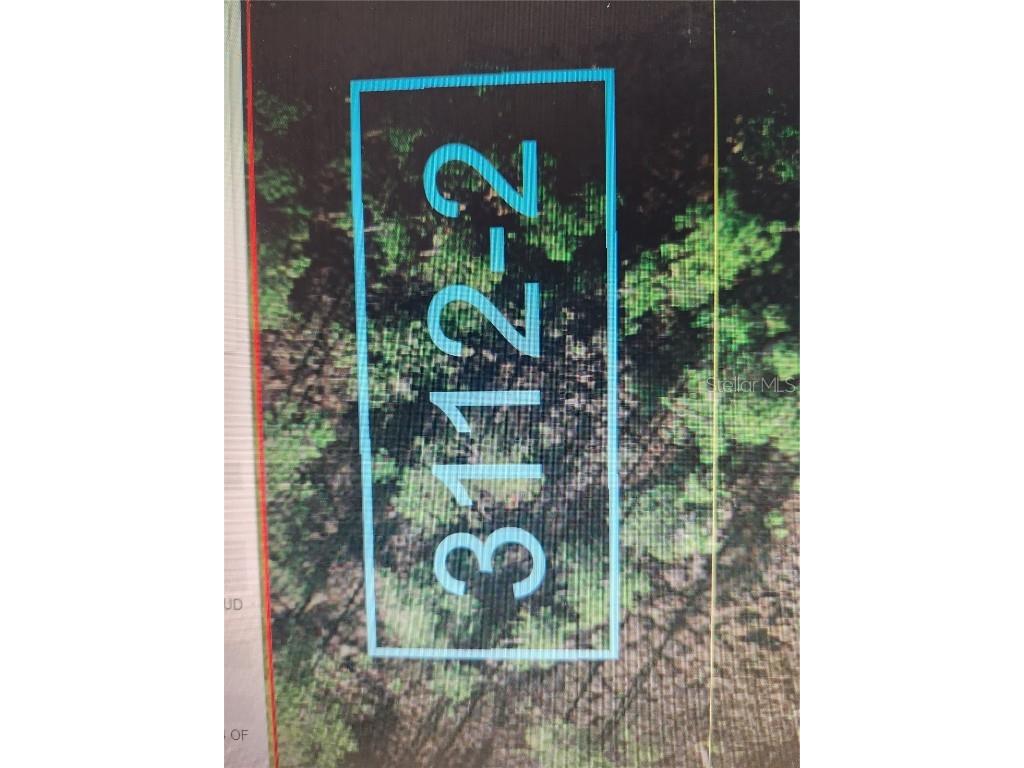 Holopaw Groves Road Saint Cloud FL 34771 S5096028 image1