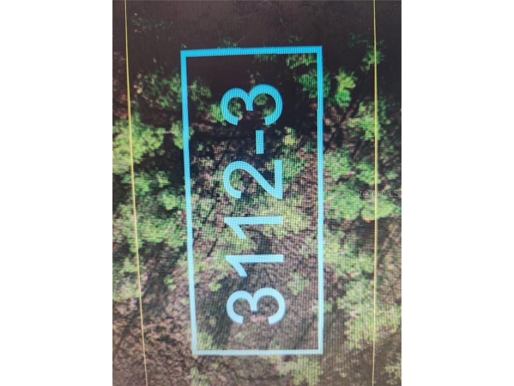 Holopaw Groves Road Saint Cloud FL 34771 S5096030 image1