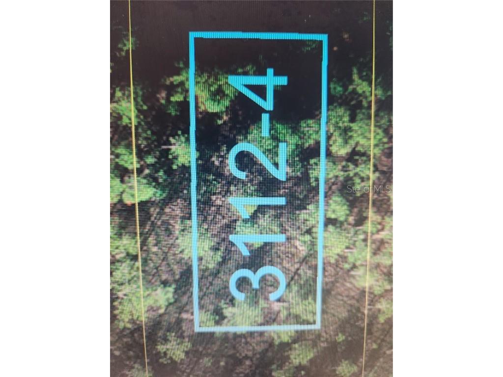 Holopaw Groves Road Saint Cloud FL 34771 S5096031 image1