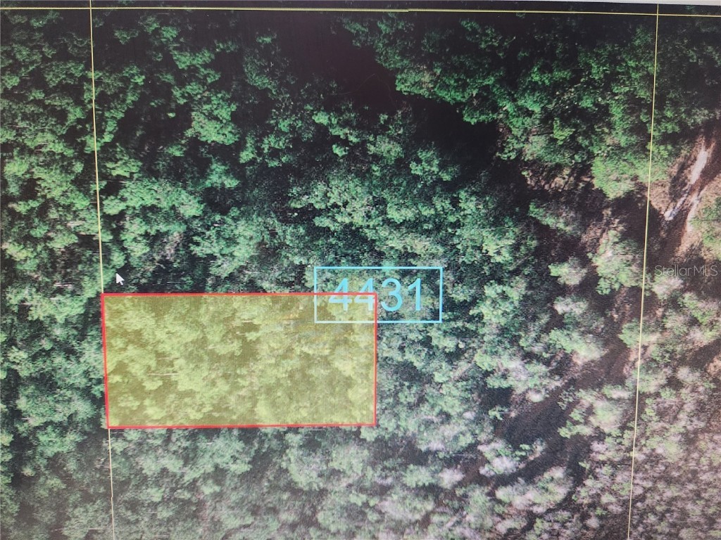 Holopaw Groves Road Saint Cloud FL 34771 S5100315 image1