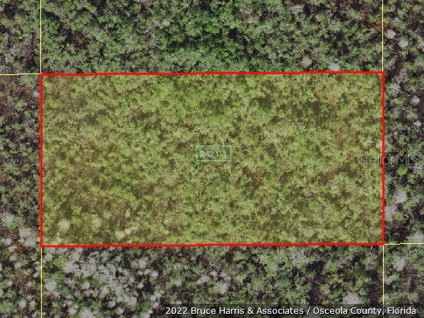 Holopaw Groves Road Saint Cloud FL 34772 S5068213 image1