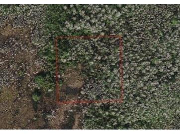 Holopaw Groves Road Saint Cloud FL 34773 S5104710 image1