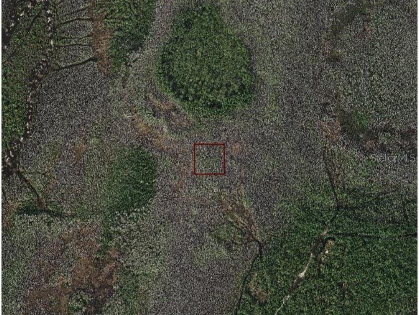 Holopaw Groves Road Saint Cloud FL 34773 S5108733 image1