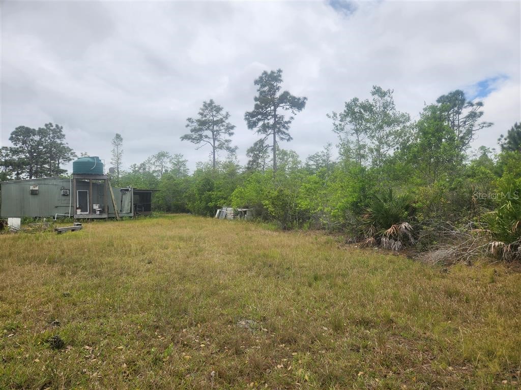 Holopaw Groves Road Saint Cloud FL 34771 O6117393 image10