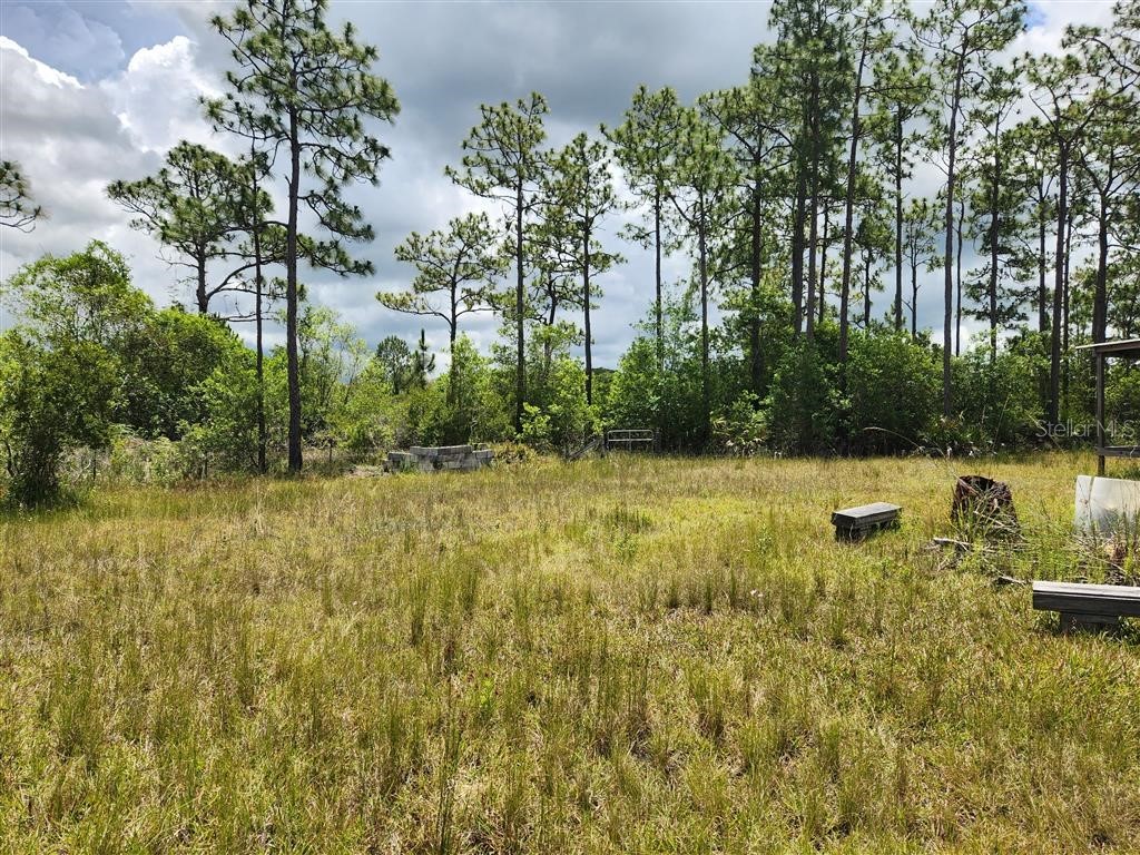 Holopaw Groves Road Saint Cloud FL 34771 O6117393 image22