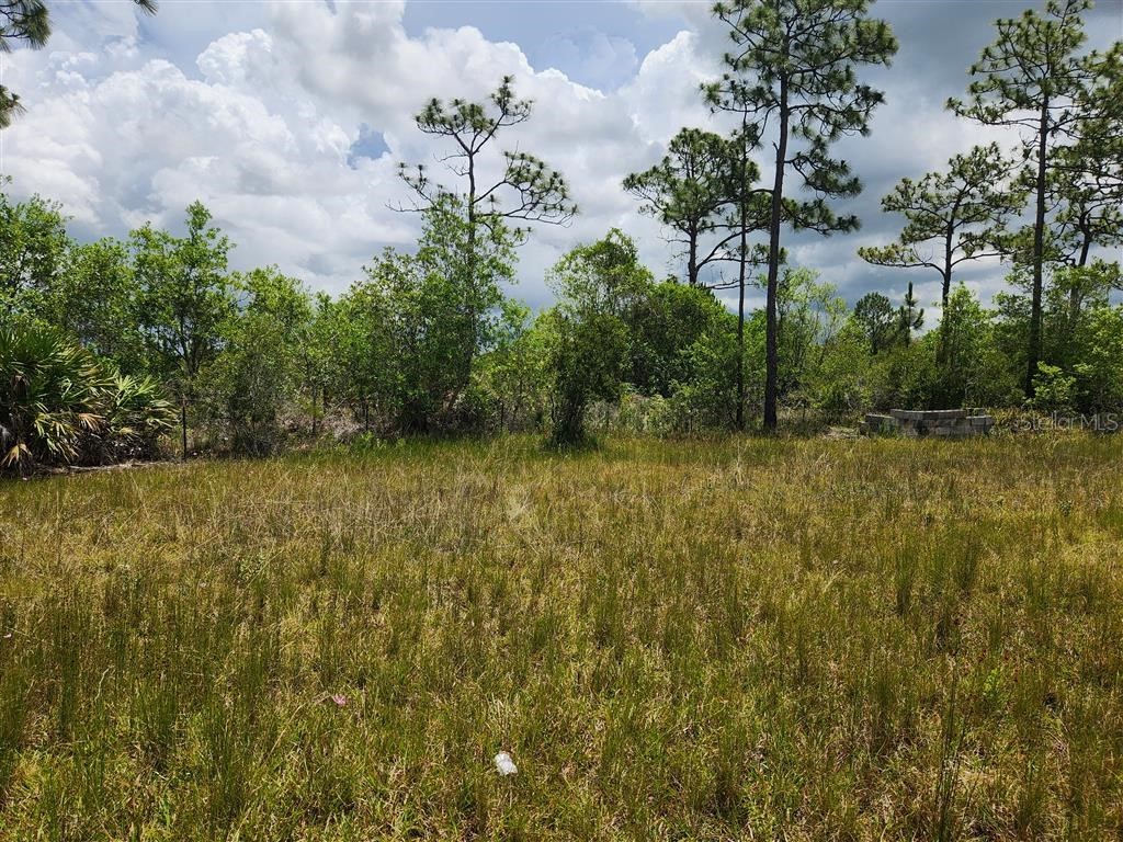 Holopaw Groves Road Saint Cloud FL 34771 O6117393 image23