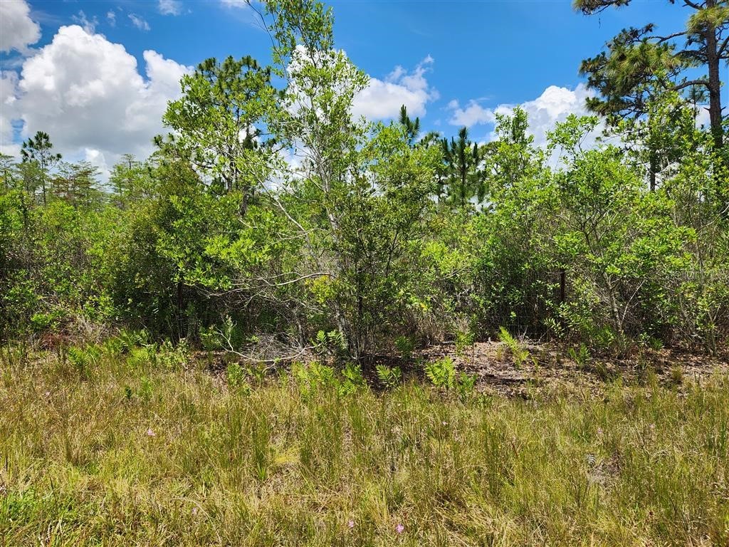 Holopaw Groves Road Saint Cloud FL 34771 O6117393 image26