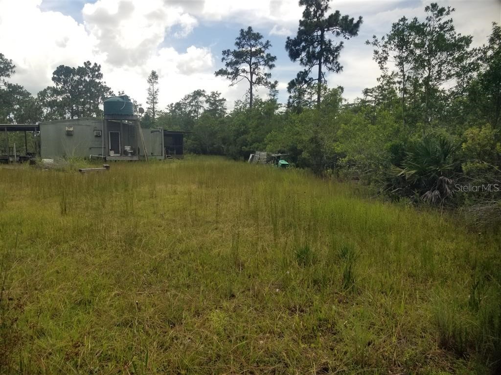 Holopaw Groves Road Saint Cloud FL 34771 O6117393 image8